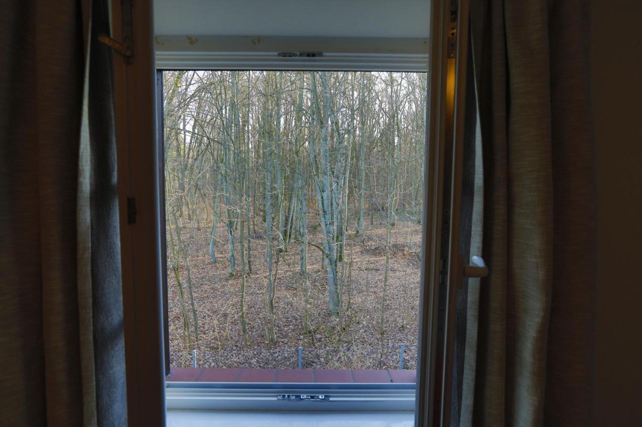 ニジツァ Lesniczowka Nibork Bed & Breakfast エクステリア 写真